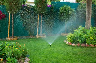 Keep Your Yard and Landscaping Thriving